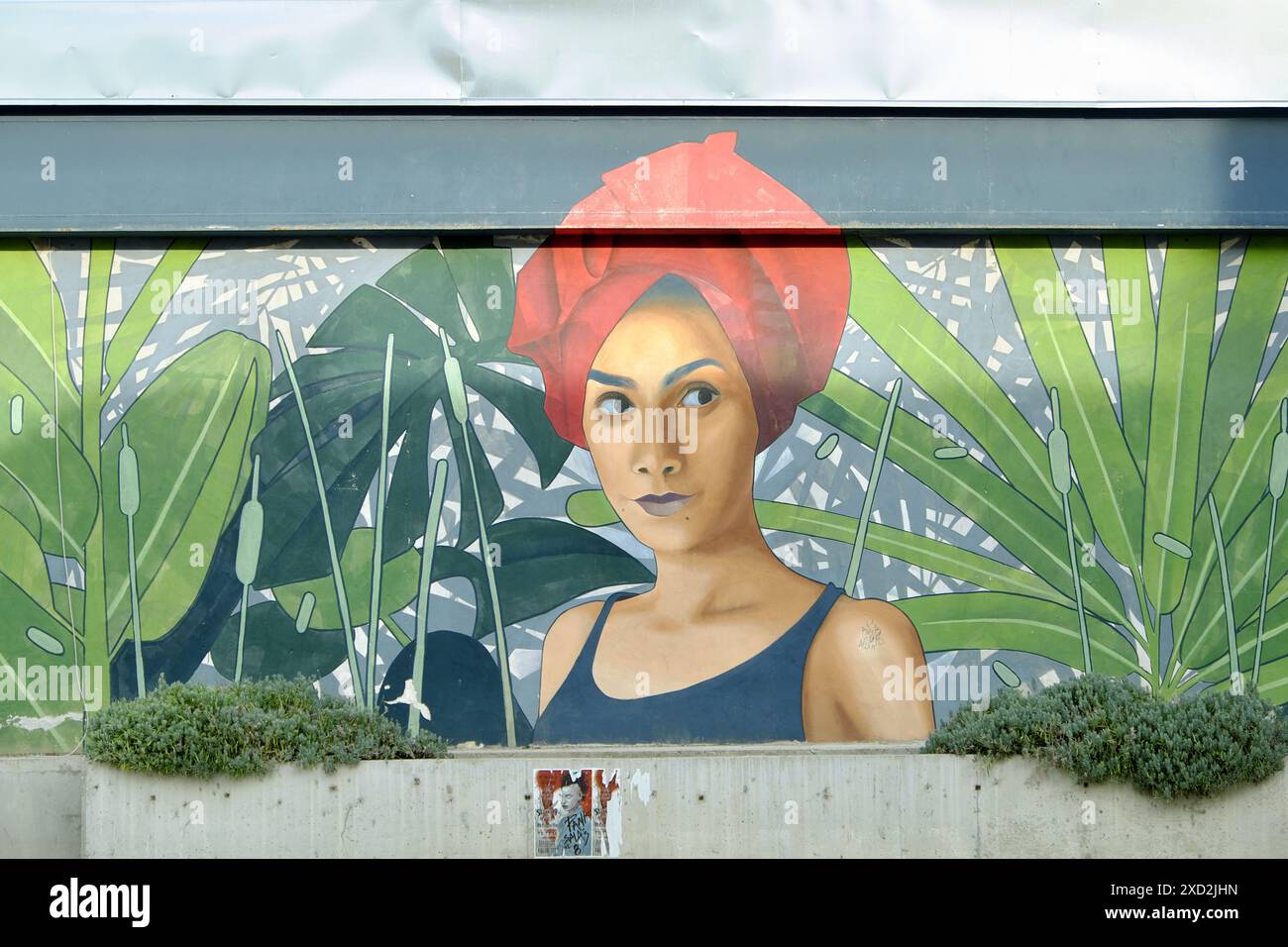 Murale di strada intitolato "Dov'è la rana?" Per il Terminal Music & Arts Festival dell'anno 2019, Sombor, Vojvodina, Serbia Foto Stock