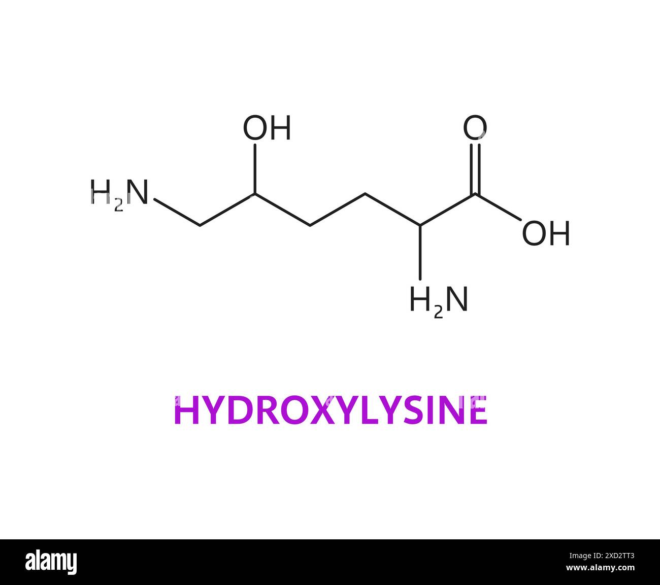 Le molecole chimiche di idrossilisina amminoacidi, struttura essenziale della catena, includono una spina dorsale di lisina con un ulteriore gruppo idrossilico, contribuendo alla stabilità del collagene. Modello strutturale vettoriale Illustrazione Vettoriale