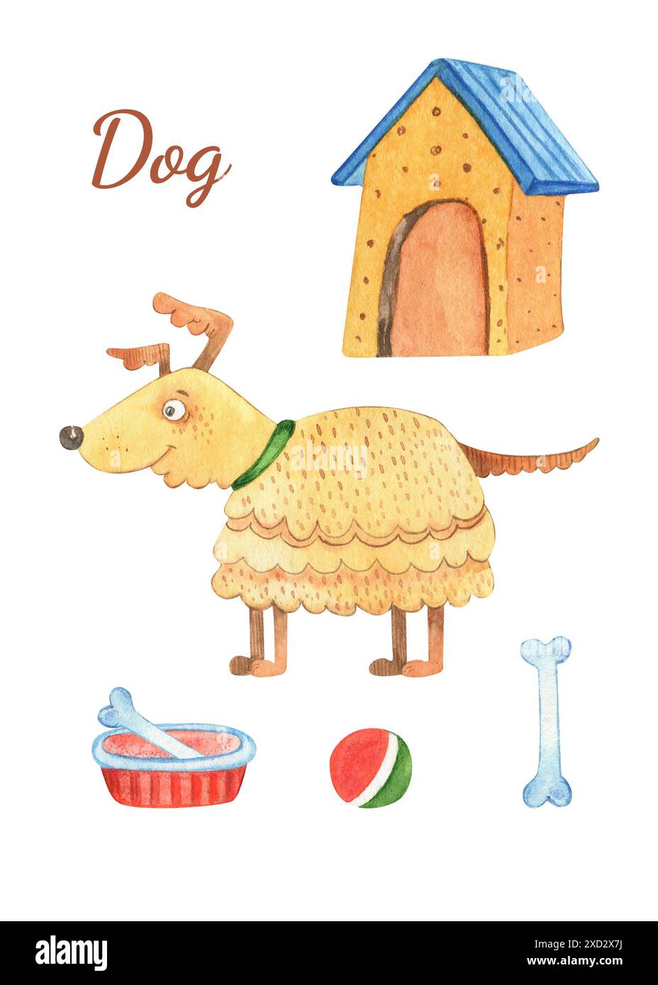 Set di illustrazioni ad acquerello di animali domestici, accessori per cani. Divano, casa, cibo, ciotola, giocattoli, osso. Cura, trattamento, cura del corpo e intrattenimento nel negozio di animali domestici Foto Stock