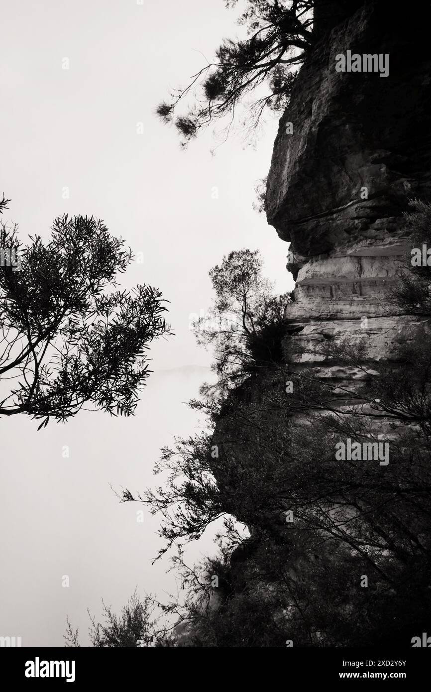 Si affaccia su un vuoto bianco di spazio, alberi e fogliame e su una scogliera di arenaria vista dai sentieri delle tre Sorelle, avvolti da una fitta nebbia Foto Stock