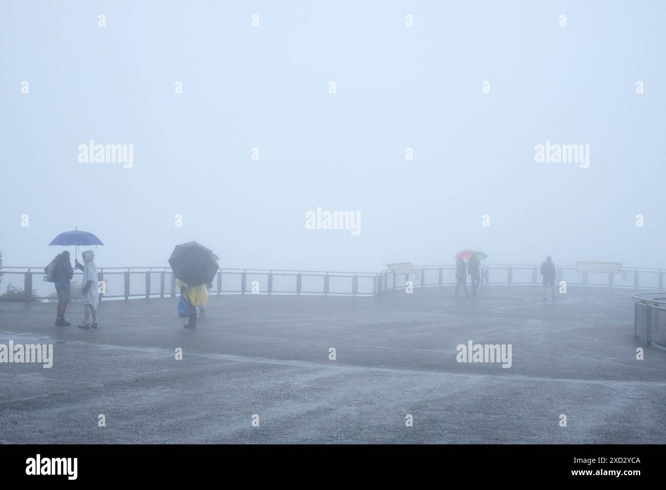 Le persone alla piattaforma panoramica delle Sorelle albero a Echo Point, le curve delle ringhiere protette e poi niente, la vista invisibile nella nebbia pesante Foto Stock