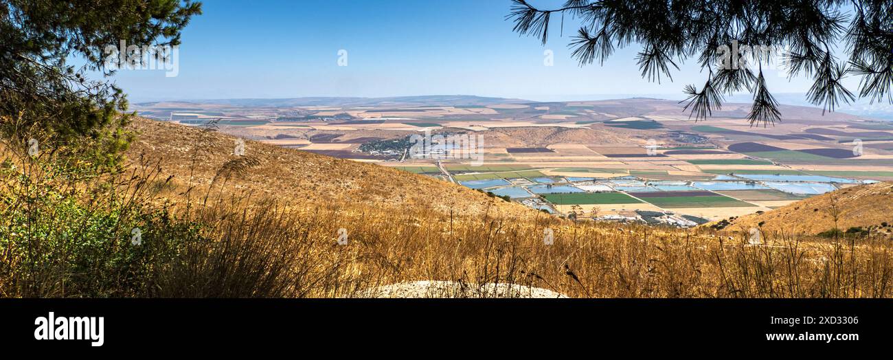 Jezreel Valley, Israele Foto Stock