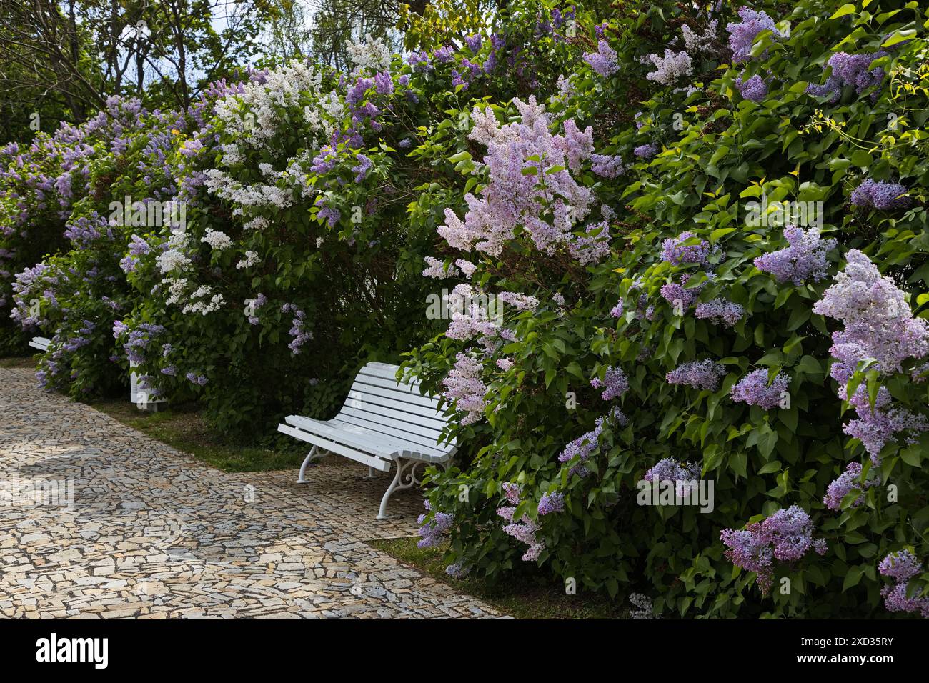 Luogo di riposo in un giardino sulla collina Petrin a Praga, repubblica Ceca, Europa Foto Stock