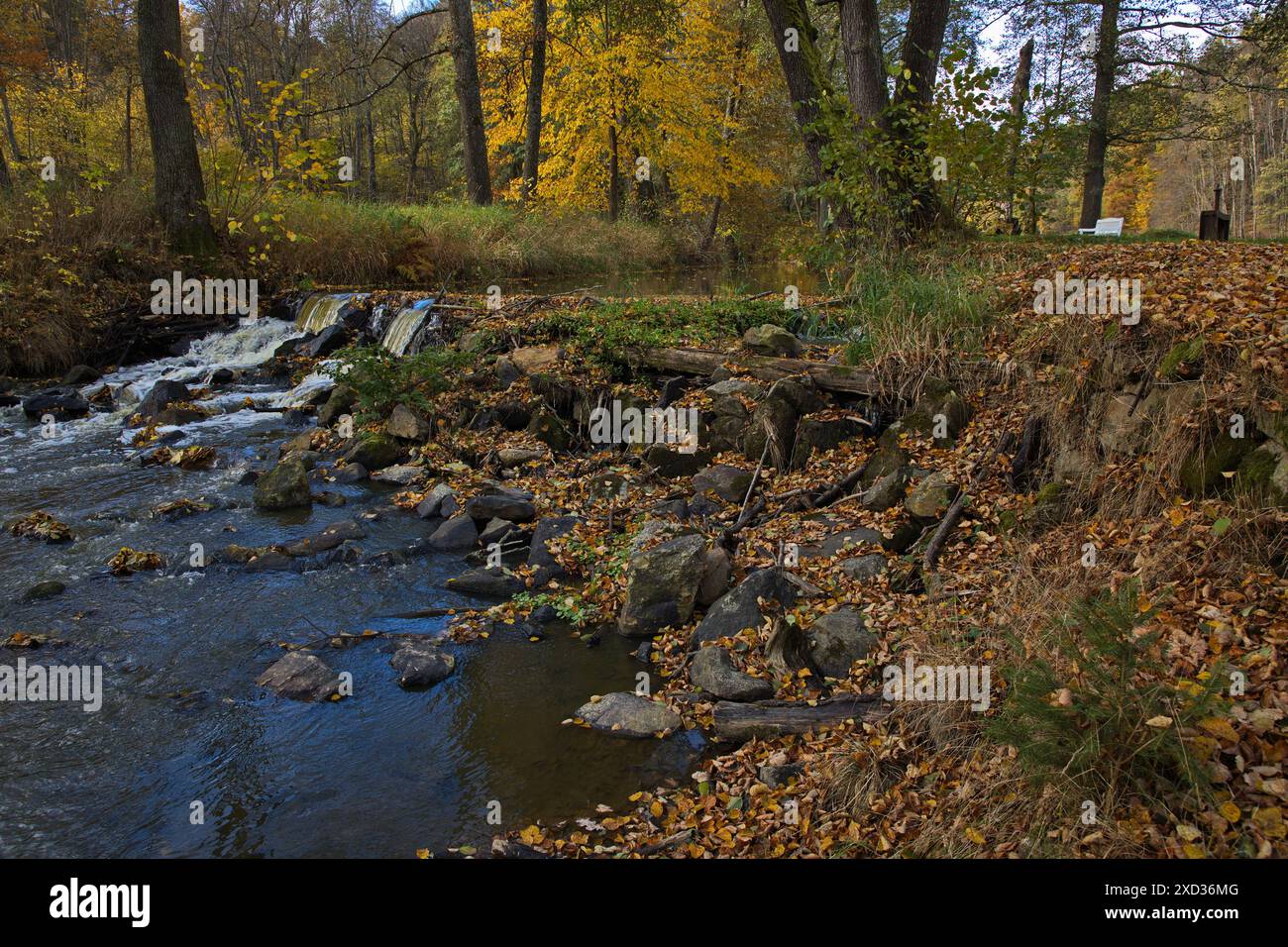 Fiume Stropnice nel parco pubblico "Tercino udoli" a nove Hrady nella Boemia meridionale, repubblica Ceca, Europa Foto Stock