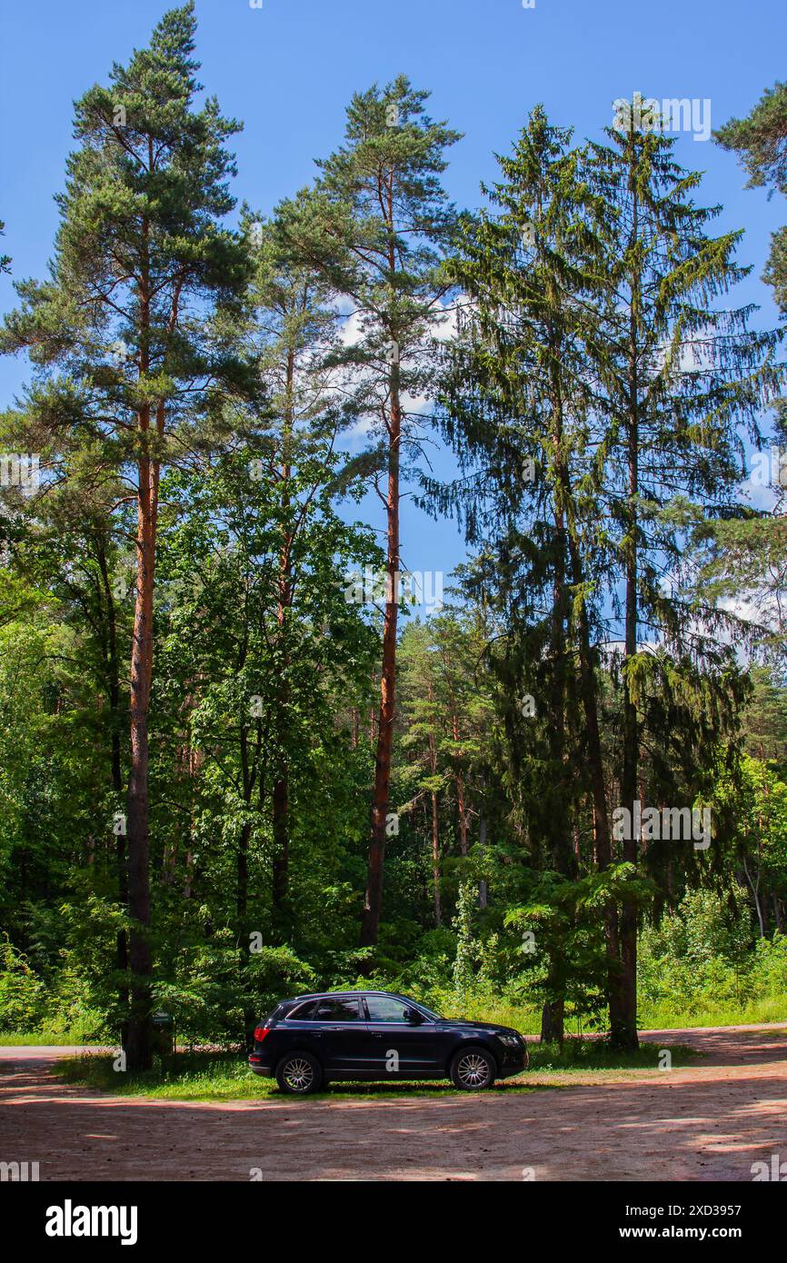 Parcheggio nella foresta, un luogo di svago e riposo nell'ambiente naturale Foto Stock