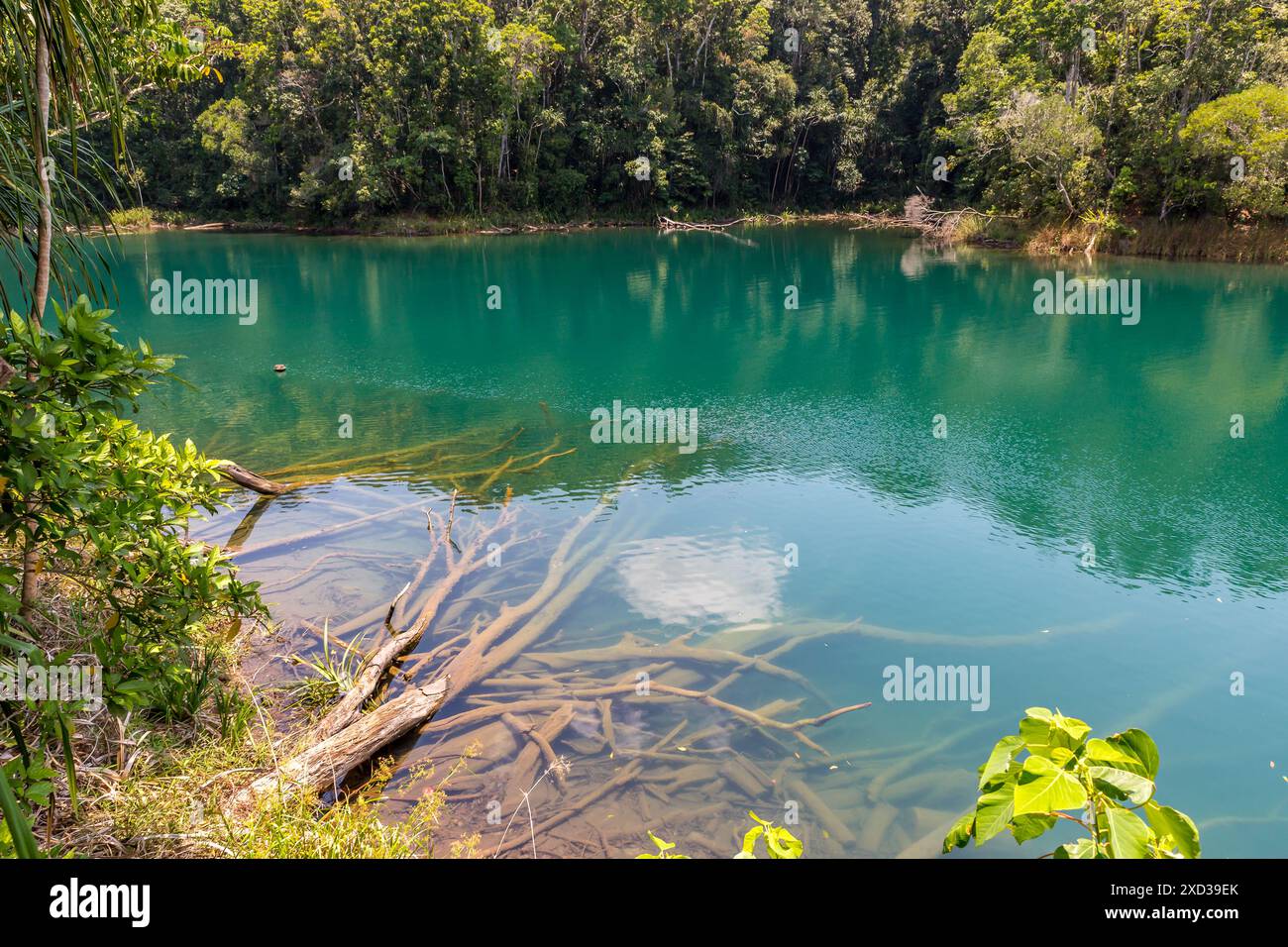 Lago Eacham con acqua verde scuro circondato da alberi, Queensland, Australia. Foto Stock