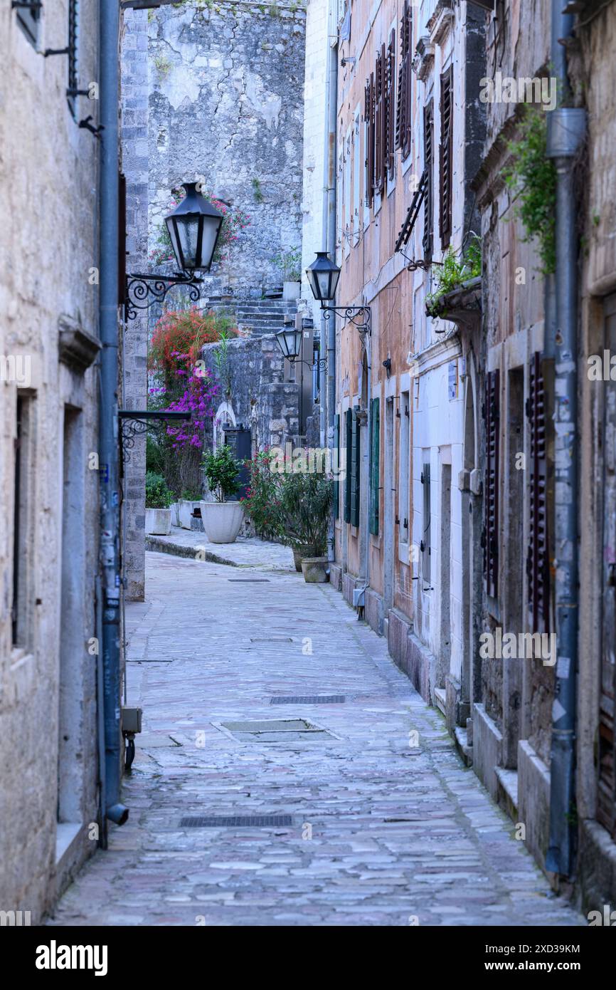 Pittoresco vicolo acciottolato a Kotor Foto Stock