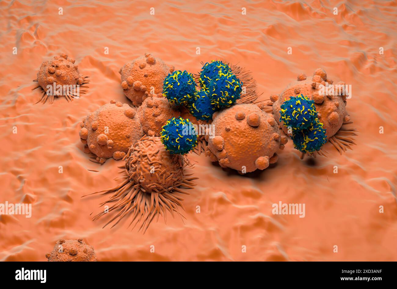 Terapia con cellule T di CAR nel cancro renale - Vista isometrica illustrazione 3d. Foto Stock