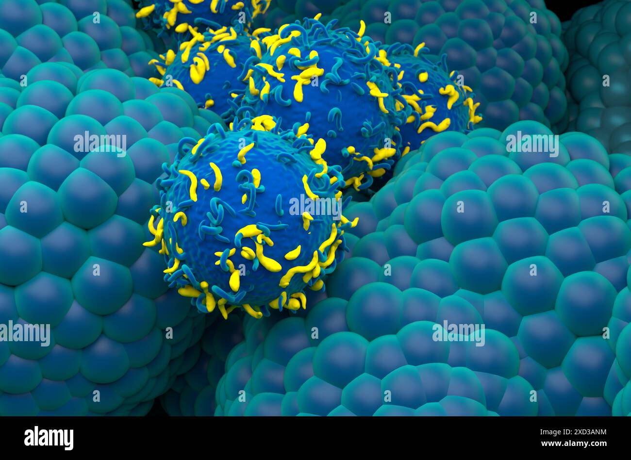 Terapia con cellule T di CAR nel cancro alla prostata - Vista ravvicinata illustrazione 3d. Foto Stock