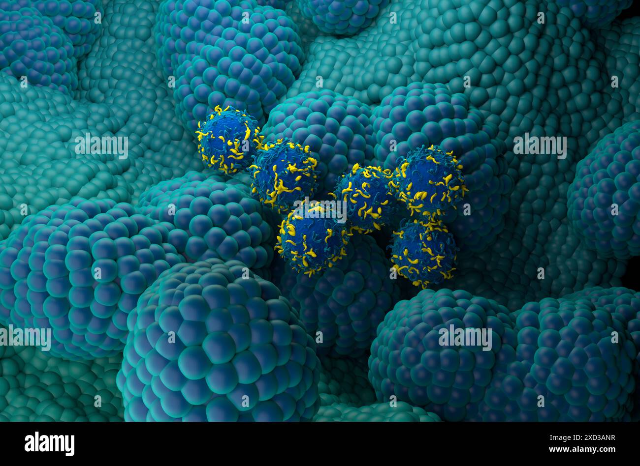 Terapia con cellule T di CAR nel cancro alla prostata - Vista isometrica illustrazione 3d. Foto Stock