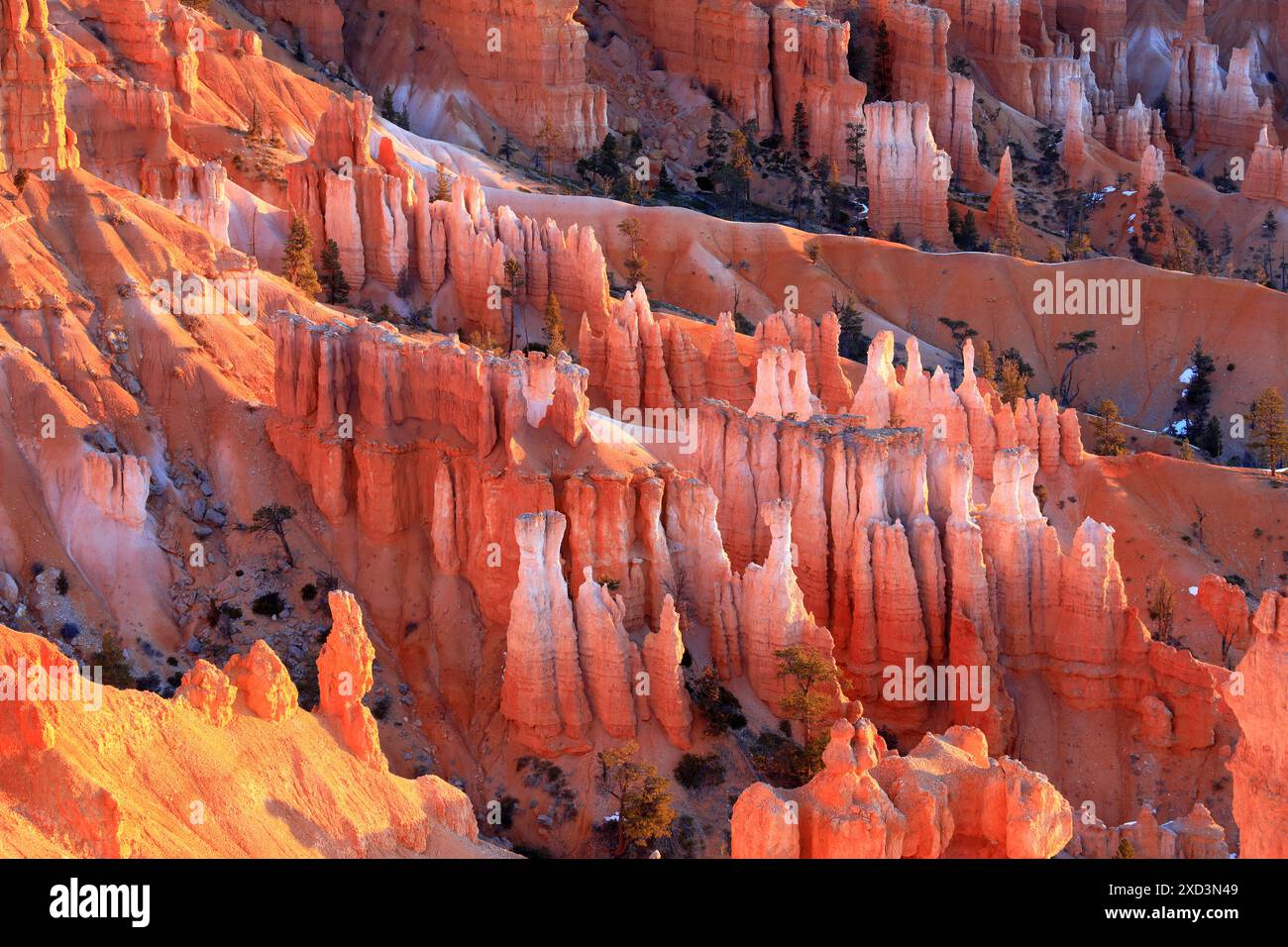 Geografia / viaggi, Stati Uniti, Utah, parco nazionale del canyon Bryce, alba subito dopo Sunset Point, INFORMAZIONI AGGIUNTIVE-DIRITTI-AUTORIZZAZIONE-NON-DISPONIBILI Foto Stock