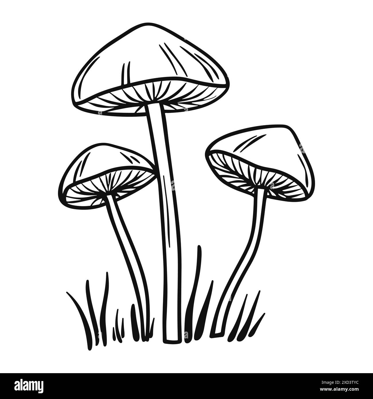 Schizzo a inchiostro di funghi psichedelici l'erba isolata su sfondo bianco. Toadstoolo velenoso. Arte minimalista Illustrazione Vettoriale