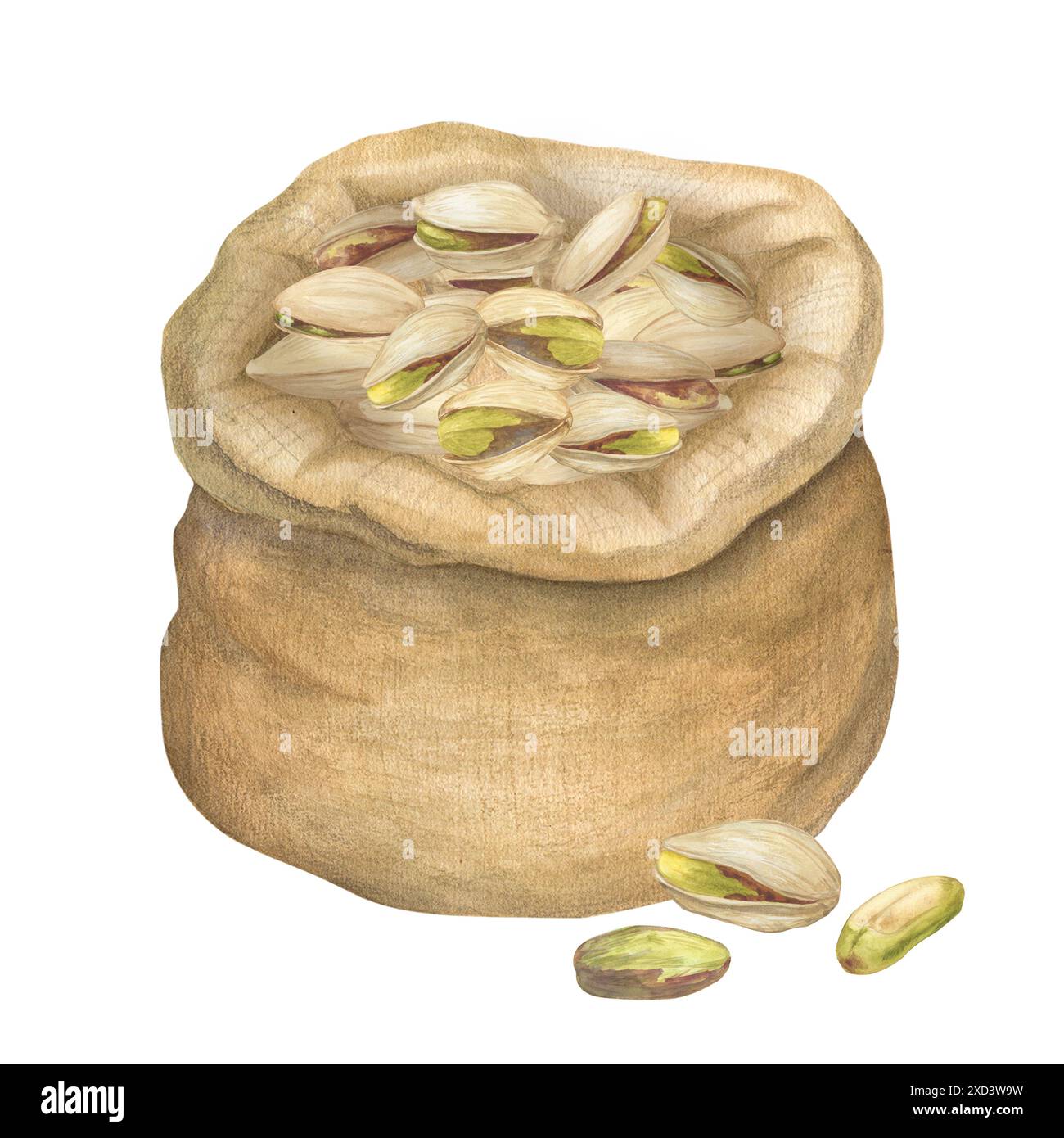 Set di illustrazioni ad acquerello con dado al pistacchio in borsa di tela. Schizzo di disegno botanico stilizzato. Isolato. Trafilato a mano, adatto per la progettazione di imballaggi per alimenti Foto Stock