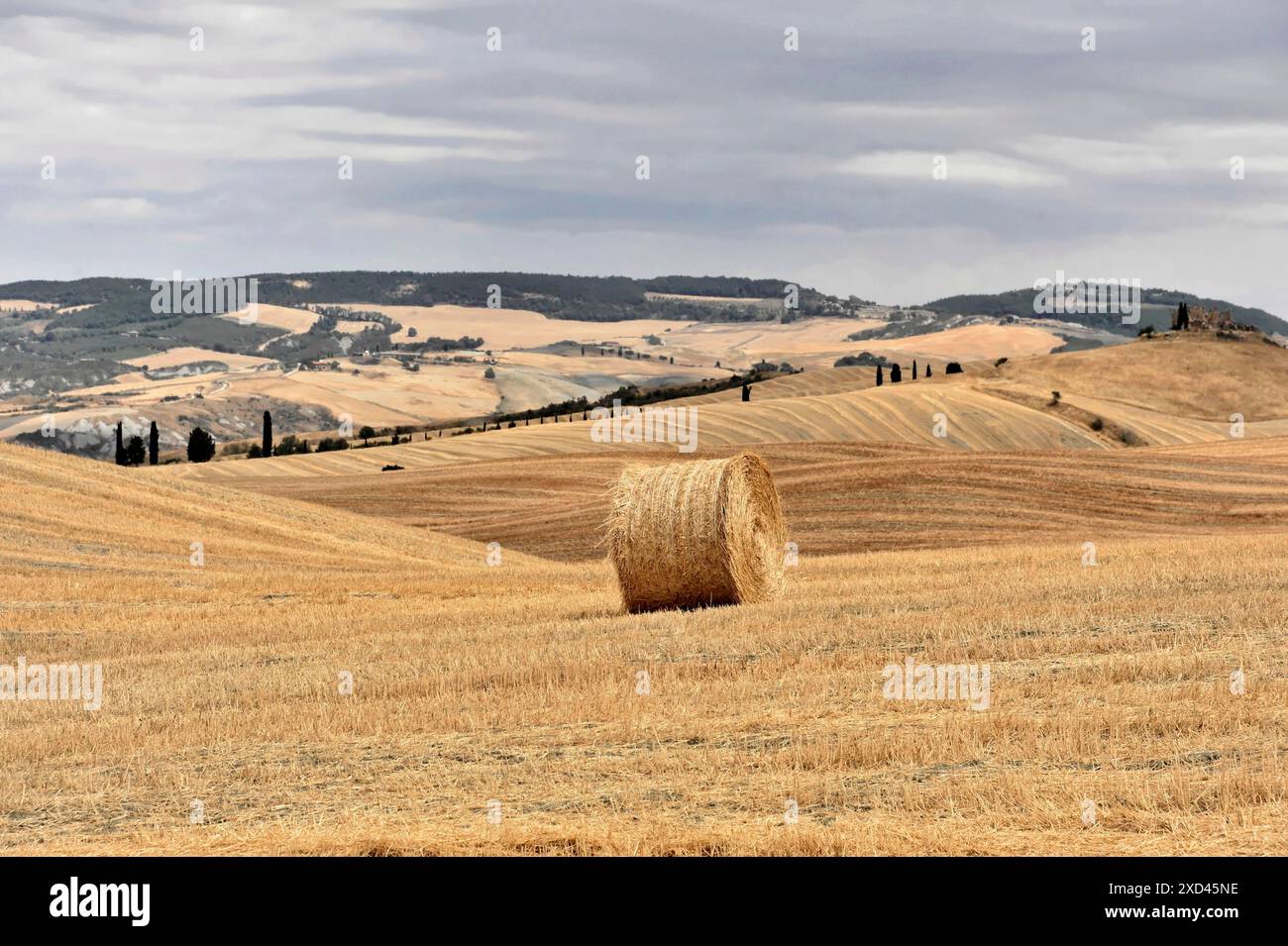 Campi di grano raccolti, paesaggio a sud di Pienza, Toscana, Italia, Europa, balle di fieno sparse in un grande campo di grano dorato, Toscana, Europa Italia Foto Stock