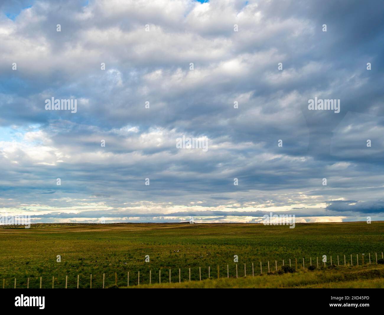 Paesaggio steppico visto dal pullman tra Puerto Natalas e Punta Arenas, Patagonia, Cile Foto Stock