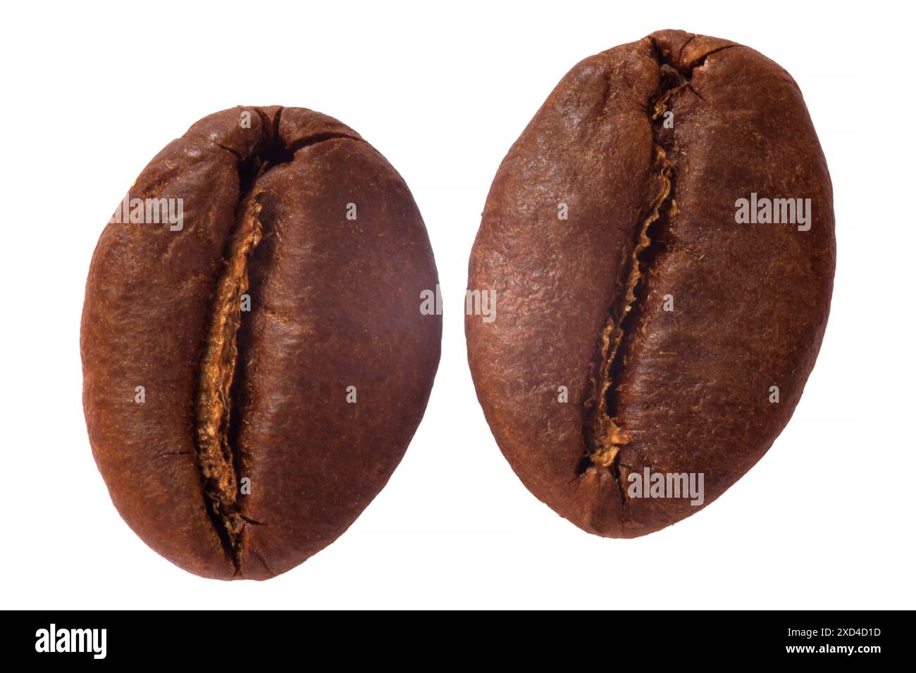 primo piano di due chicchi di caffè arabica isolati su sfondo bianco Foto Stock