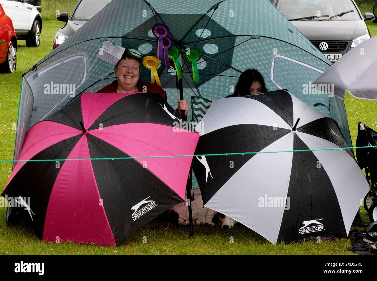 British Summertime Panfield Summer Fete and Dog Show, Panfield Braintree Essex, 15 giugno 2024 tipico clima estivo britannico come visitatori del dog sho Foto Stock