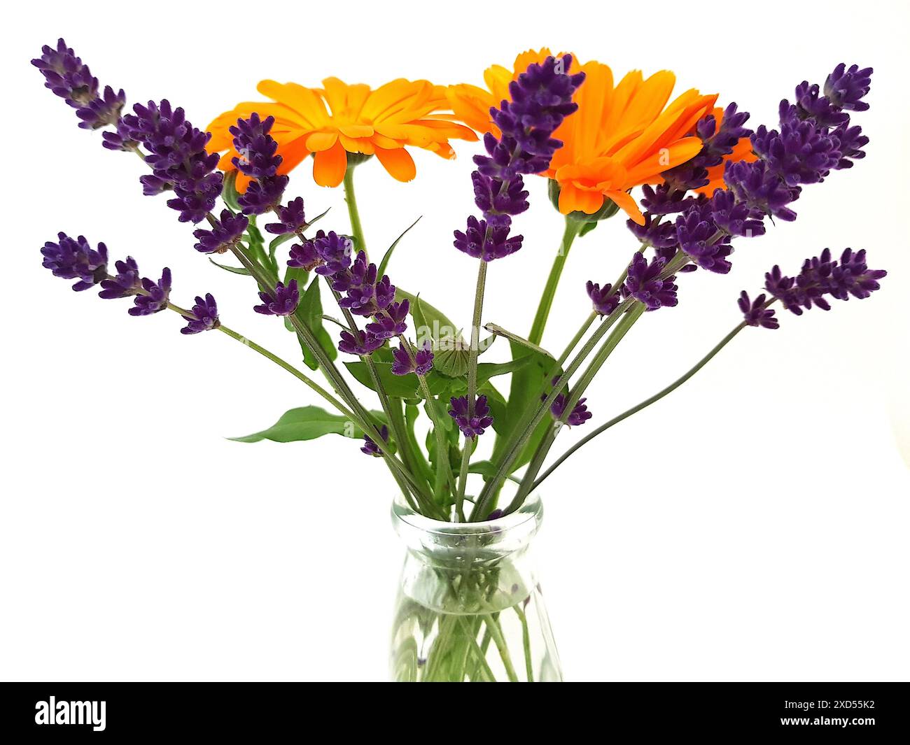 Fiori estivi colorati in un vaso di vetro vintage su sfondo bianco. Foto Stock