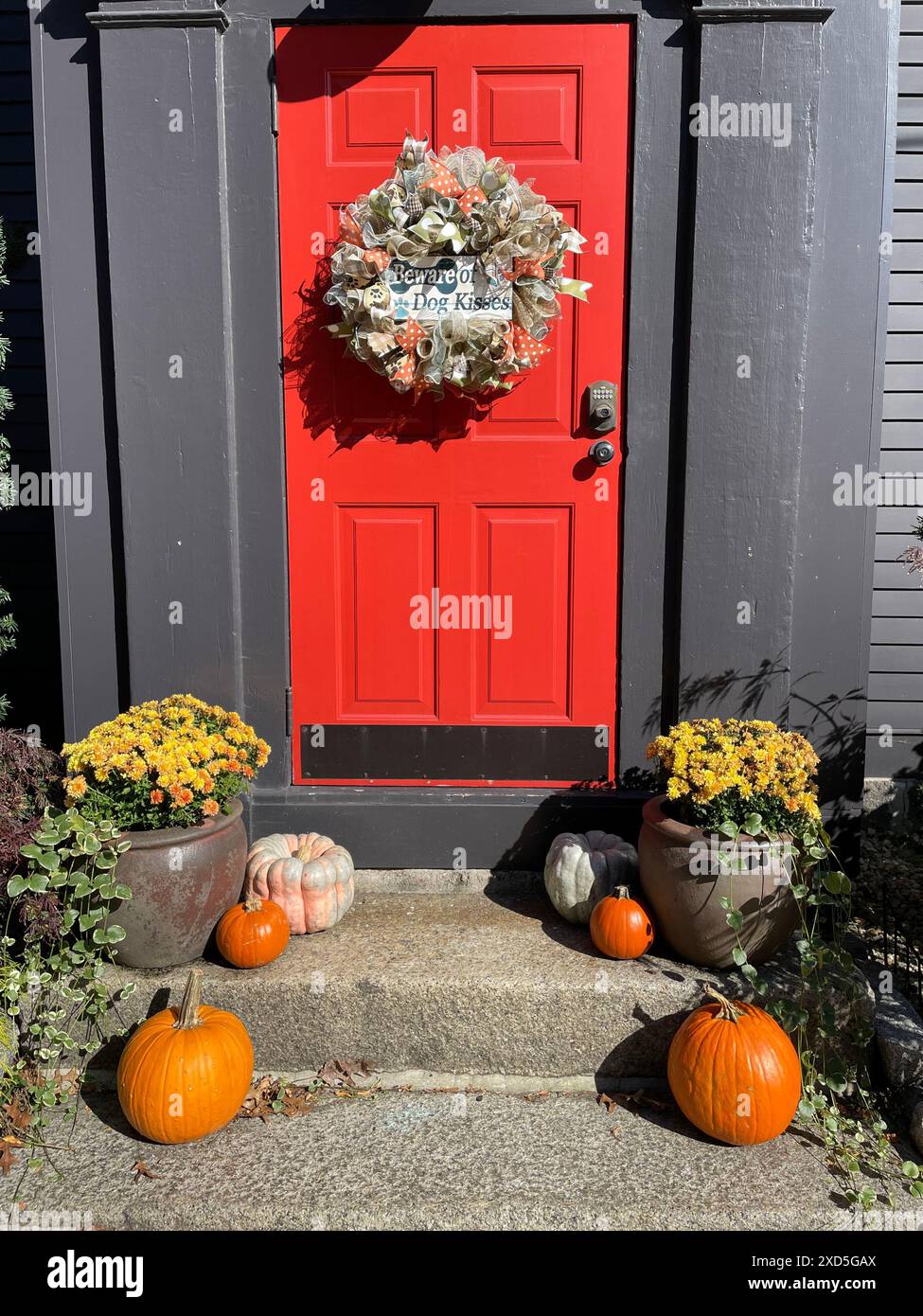 Una casa con una porta d'ingresso rossa a Salem, Massachusetts, è decorata per Halloween con fiori autunnali, zucche e una corona in una giornata di sole autunno Foto Stock
