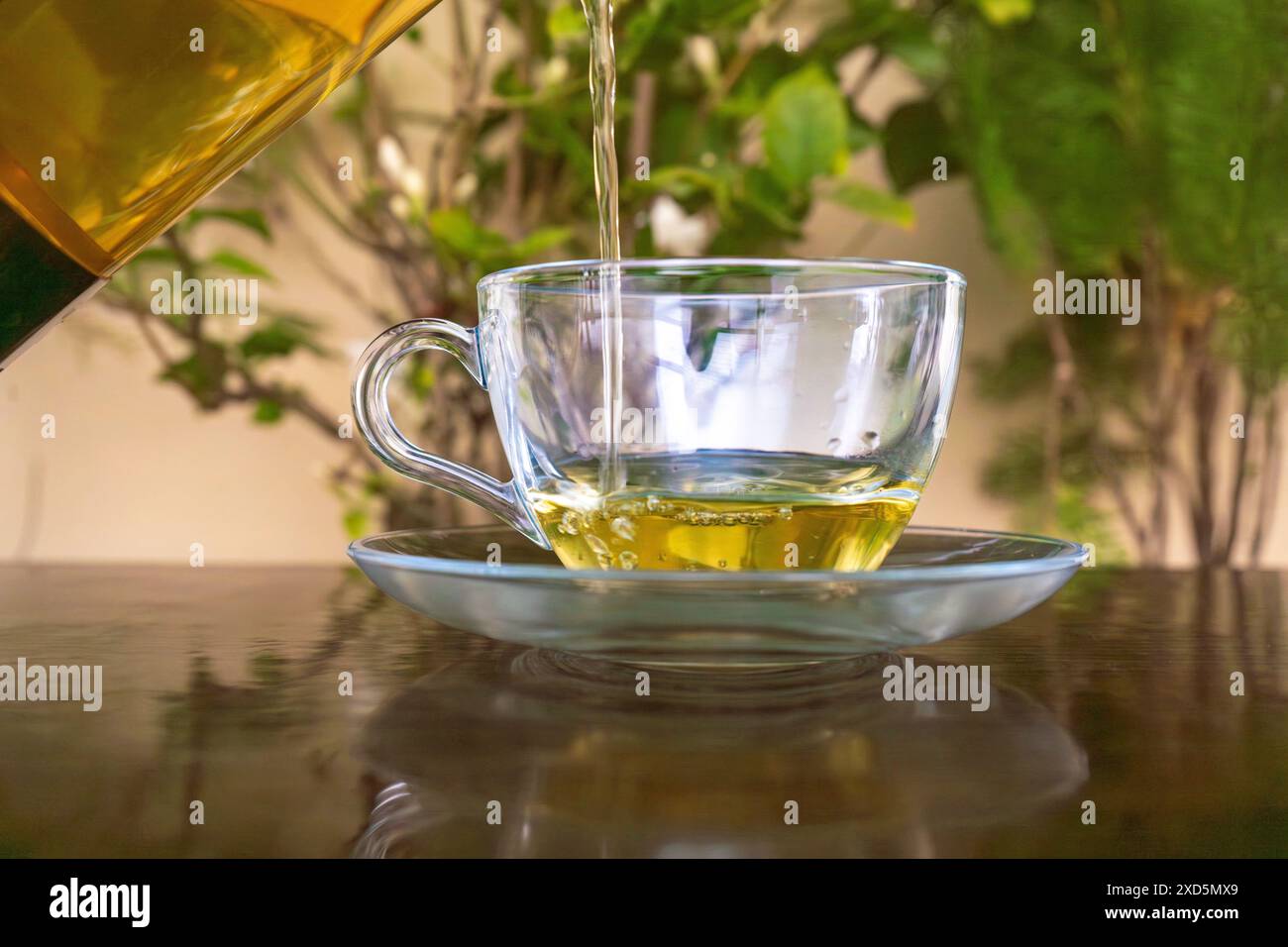 Versare tè verde biologico in una tazza di tè trasparente in montagna con sfondo verde Foto Stock