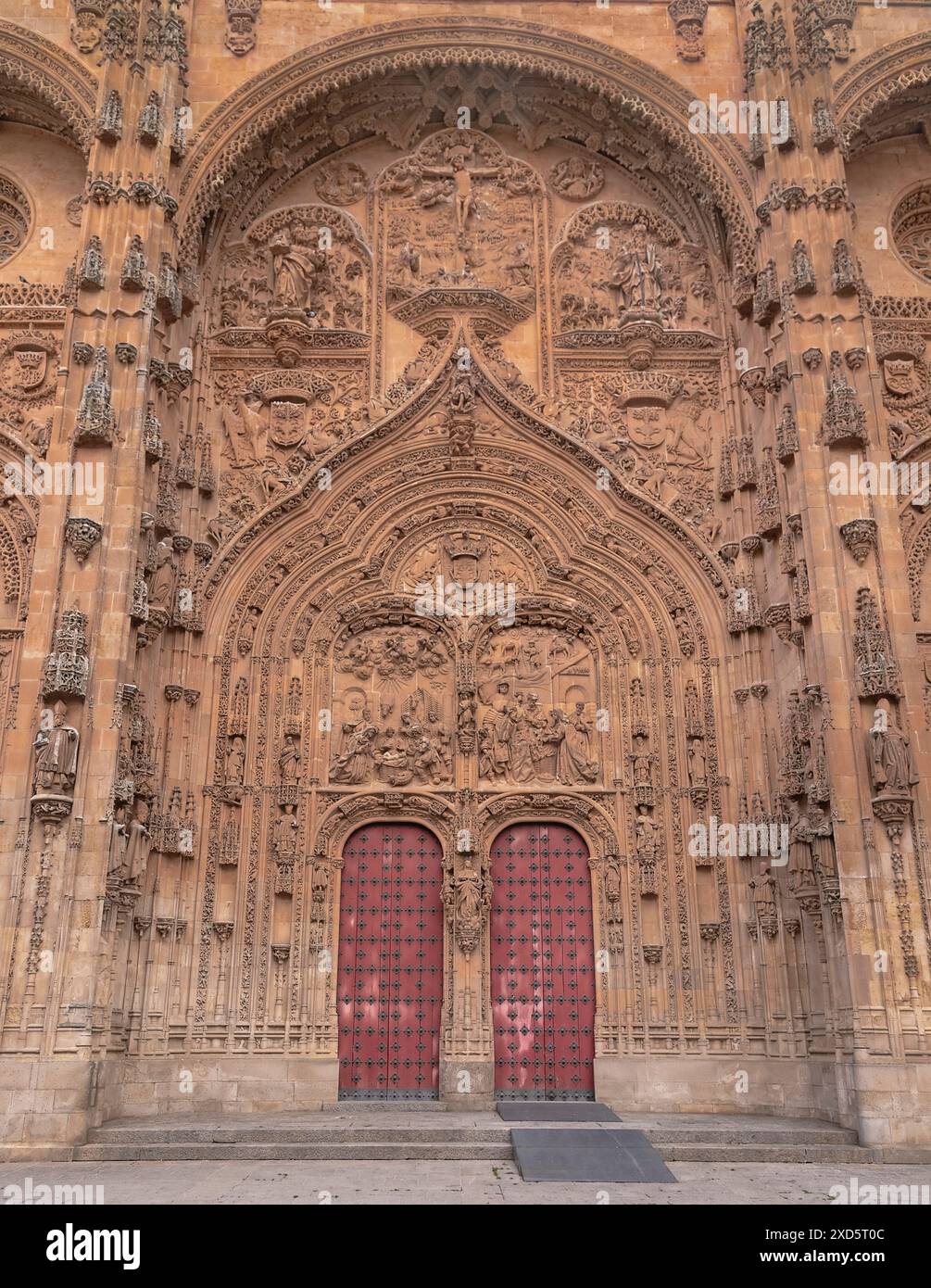 Spagna, Castiglia e León, Salamanca, Cattedrale dell'assunzione della Vergine Maria, porta della Natività. Foto Stock