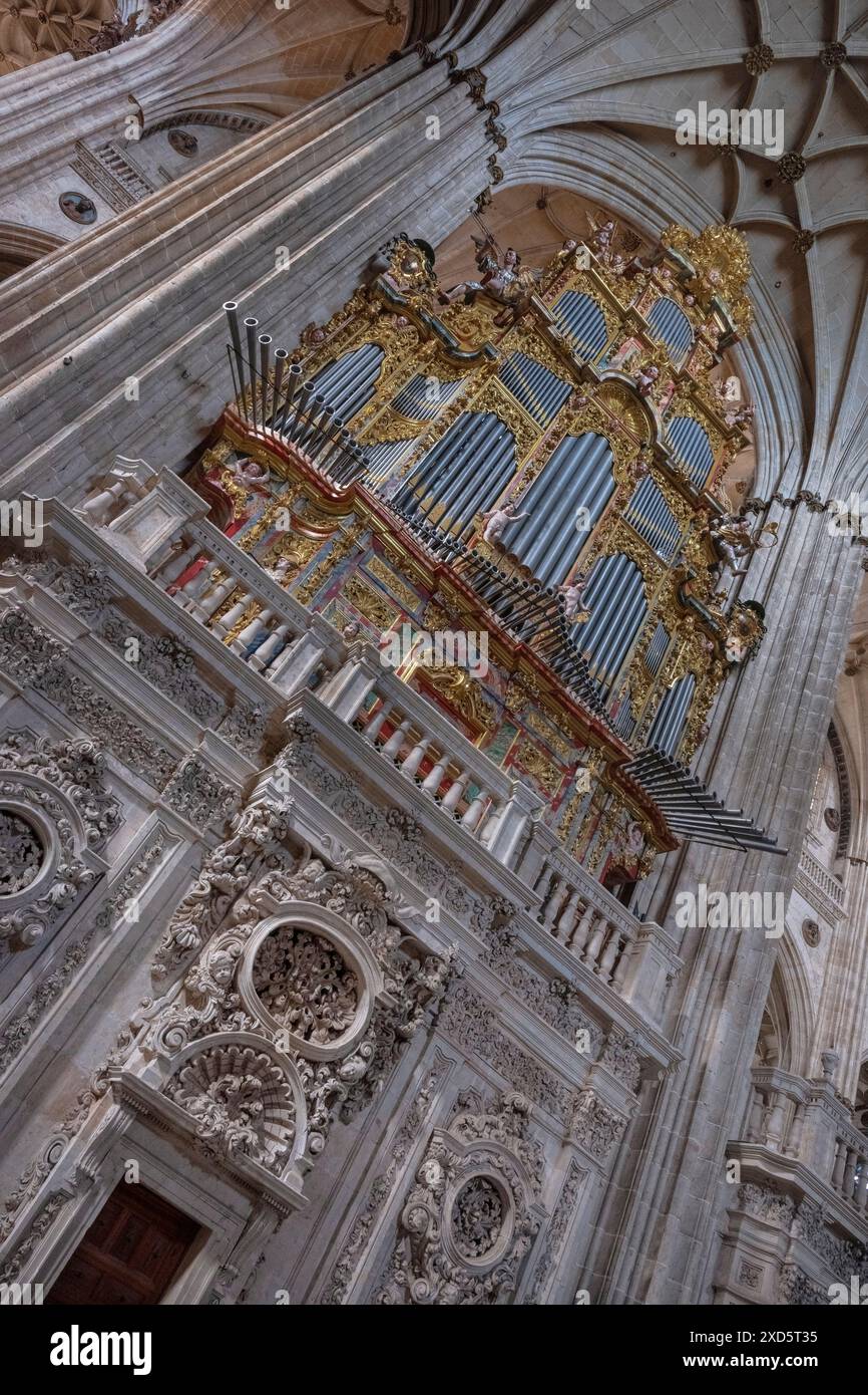 Spagna, Castiglia e León, Salamanca, Cattedrale dell'assunzione della Vergine Maria, nuova Cattedrale, organo. Foto Stock