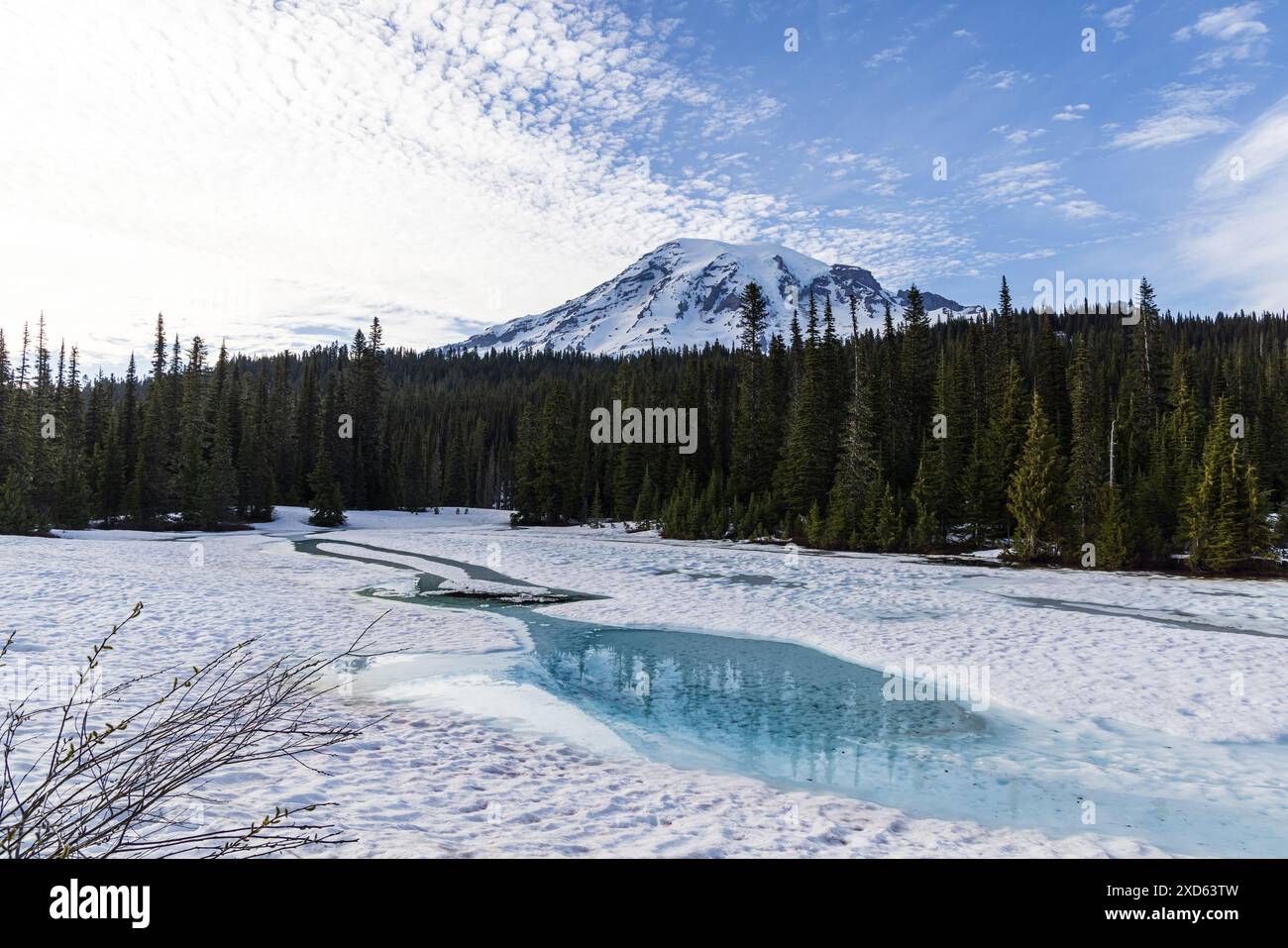 Reflection Lake presso il Mount Rainier National Park Foto Stock