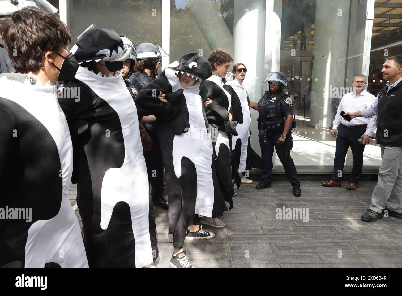 New York, Stati Uniti. 10 giugno 2024. I manifestanti bloccano gli ingressi alla sede centrale della Citibank durante la manifestazione. Le azioni "Summer of Heat" sono iniziate e le proteste sono guidate da Stop the Money Pipeline e Extinction Rebellion. I manifestanti stavano conducendo campagne per il cambiamento climatico e la consapevolezza dei danni causati dai combustibili fossili sul pianeta, che è finanziato da società come Citibank. Credito: SOPA Images Limited/Alamy Live News Foto Stock