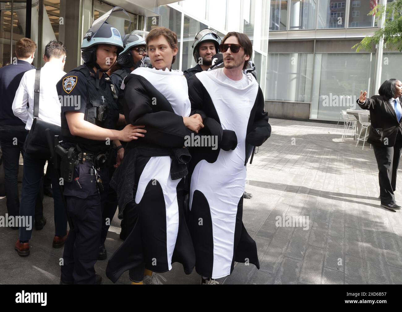 New York, Stati Uniti. 10 giugno 2024. I manifestanti bloccano gli ingressi alla sede centrale della Citibank durante la manifestazione. Le azioni "Summer of Heat" sono iniziate e le proteste sono guidate da Stop the Money Pipeline e Extinction Rebellion. I manifestanti stavano conducendo campagne per il cambiamento climatico e la consapevolezza dei danni causati dai combustibili fossili sul pianeta, che è finanziato da società come Citibank. Credito: SOPA Images Limited/Alamy Live News Foto Stock