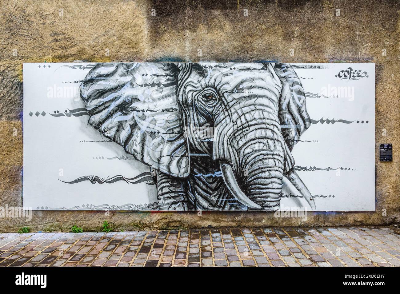 Opera d'arte sull'elefante creata dall'artista Cofee TSK su "le Mur", parete dedicata ai murales - Tours, Indre-et-Loire (37), Francia. Foto Stock