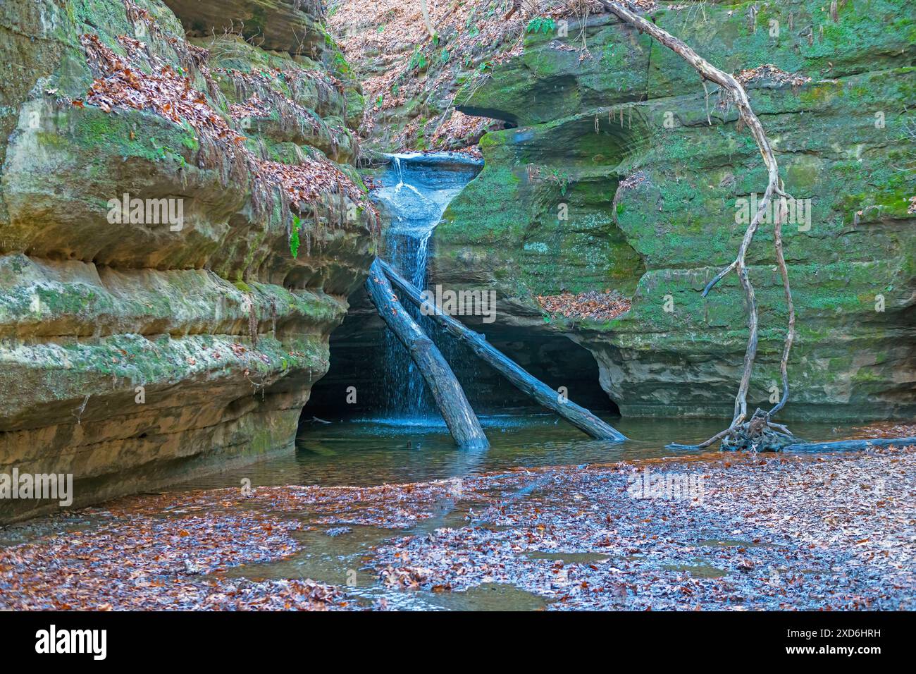 Tranquilla cascata nel Green Canyon nel Kaskaskia Canyon nello Starved Rock State Park in Illinois Foto Stock