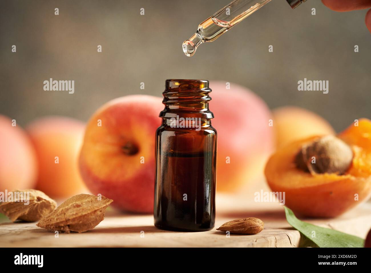 Immergere l'olio di semi di albicocca in una bottiglia di vetro marrone. Prodotto cosmetico naturale sano. Foto Stock