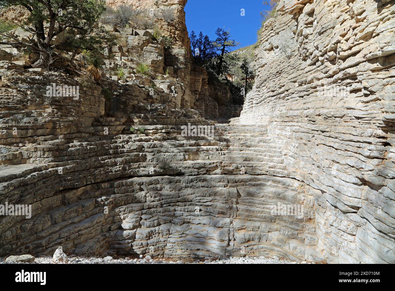 Il canyon con Devils Hall - Guadalupe Mountains NP, Texas Foto Stock