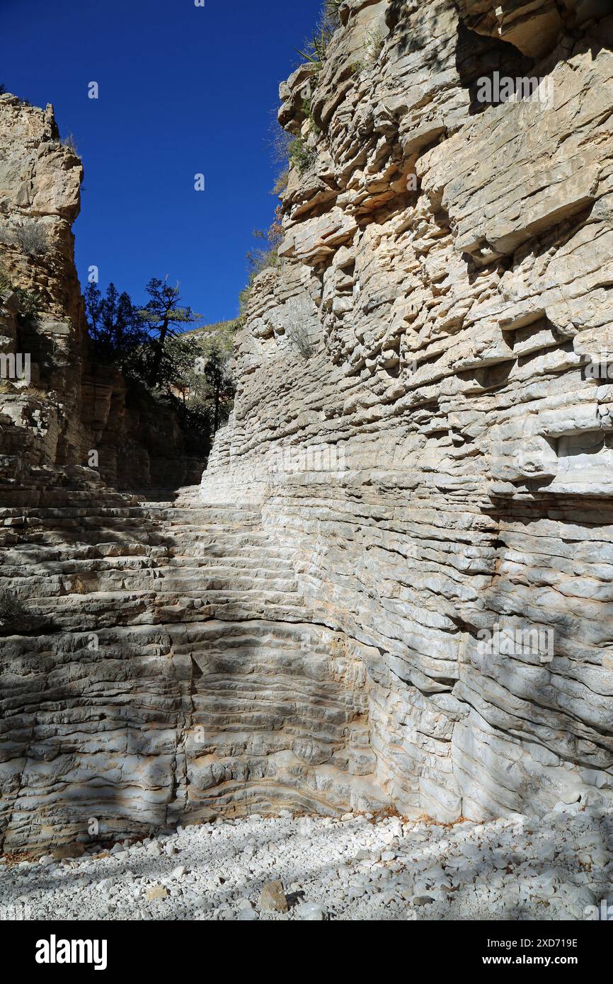 Strati in verticale roccioso - Devils Hall - Guadalupe Mountains NP, Texas Foto Stock
