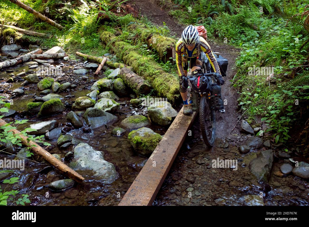 WA24863-00..... WASHINGTON - Vicky Spring attraversa un torrente nella foresta nazionale olimpica . Parte del percorso Cross Washington Mountain Bike. MR#S1 Foto Stock