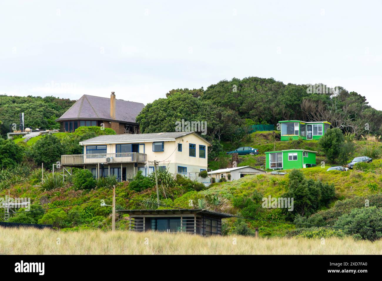 Case residenziali a Piha - nuova Zelanda Foto Stock