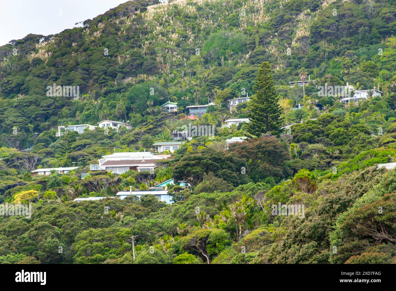 Case residenziali a Piha - nuova Zelanda Foto Stock