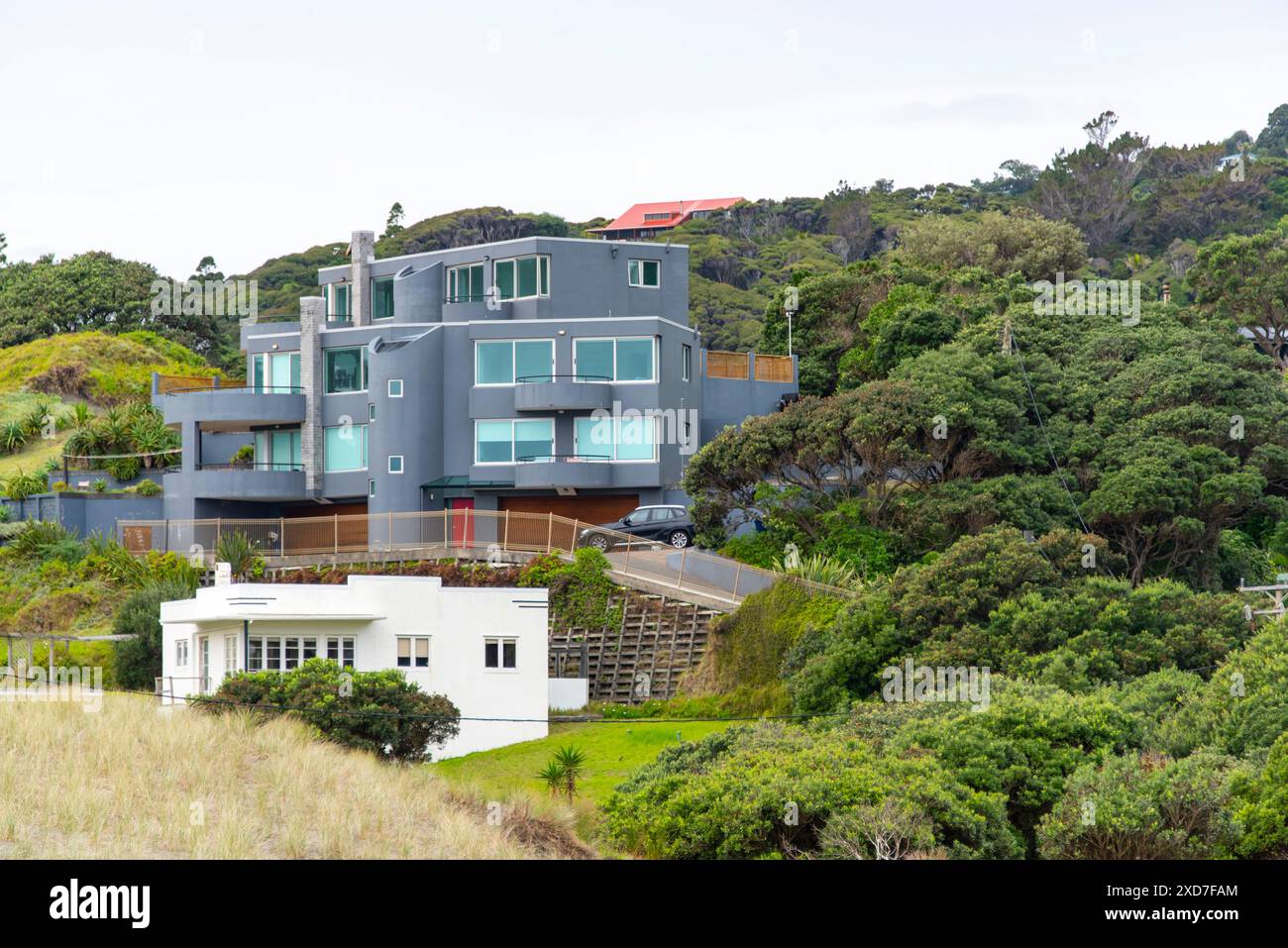Case residenziali a Piha - nuova Zelanda Foto Stock