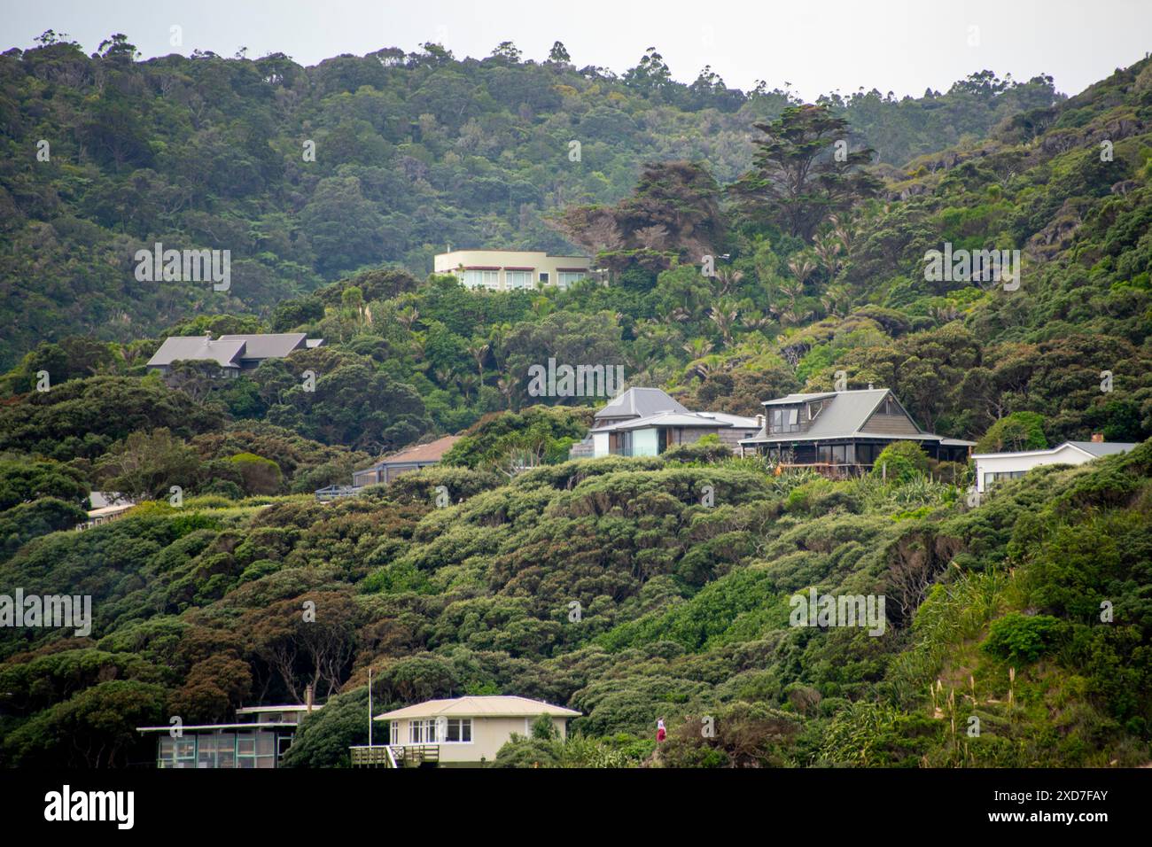 Case residenziali a Piha - nuova Zelanda Foto Stock