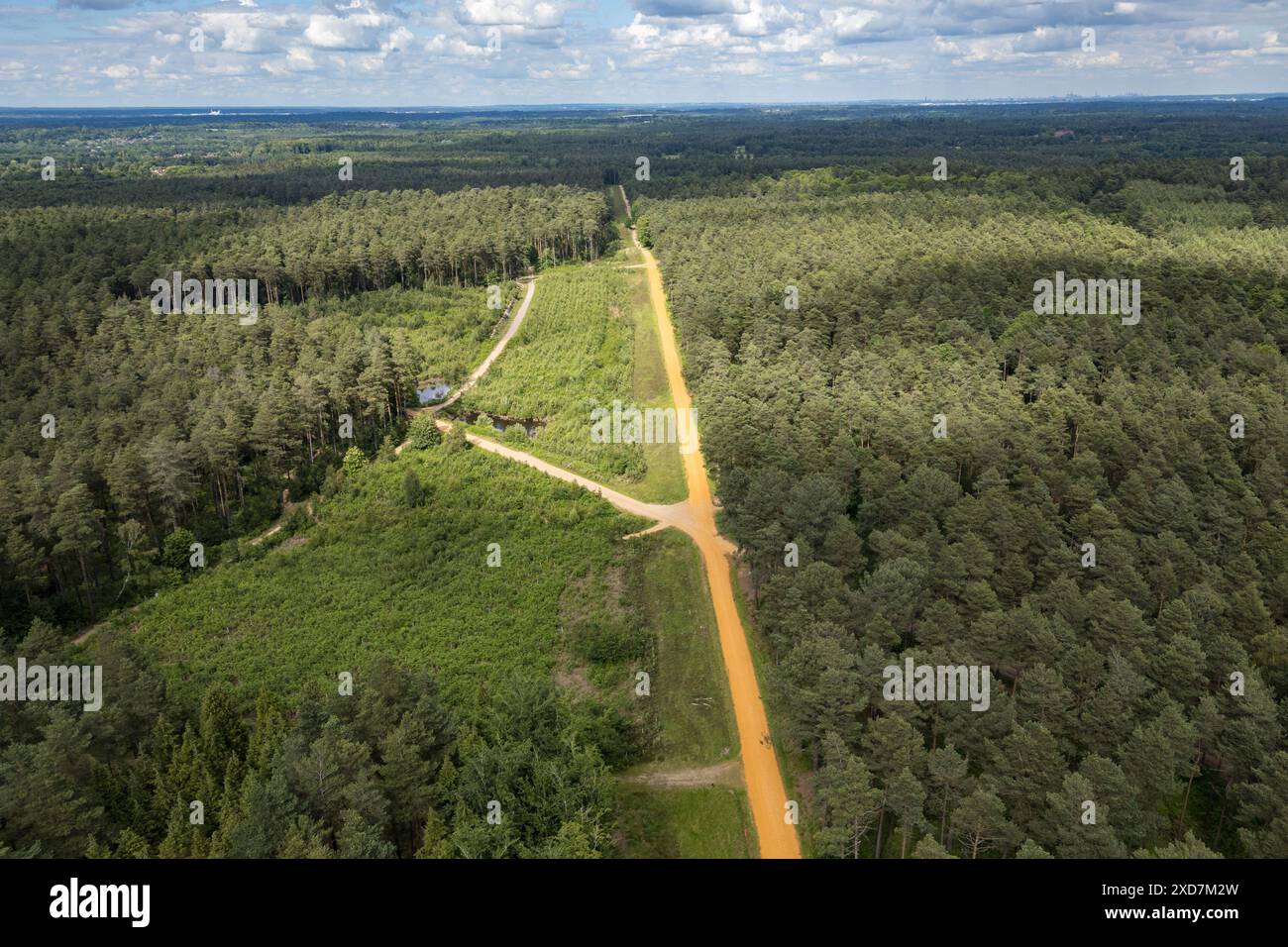 Vista aerea generale della foresta di Swinley vicino a Bracknell, Berkshire, Regno Unito. Foto Stock