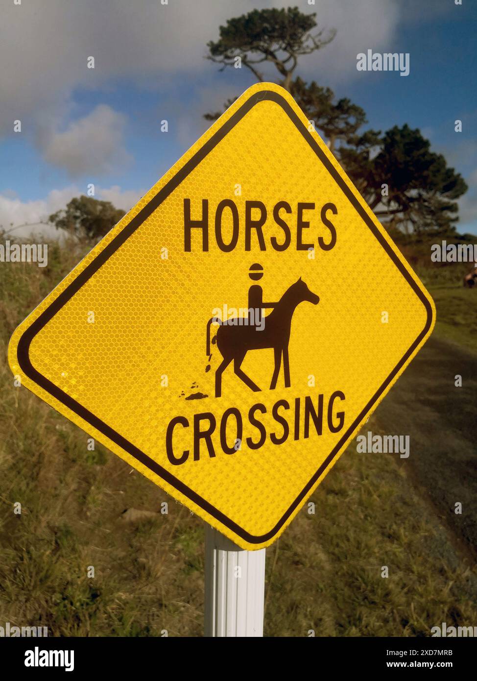 Segnale di attraversamento del cavallo alterato a Kapiti, nuova Zelanda Foto Stock