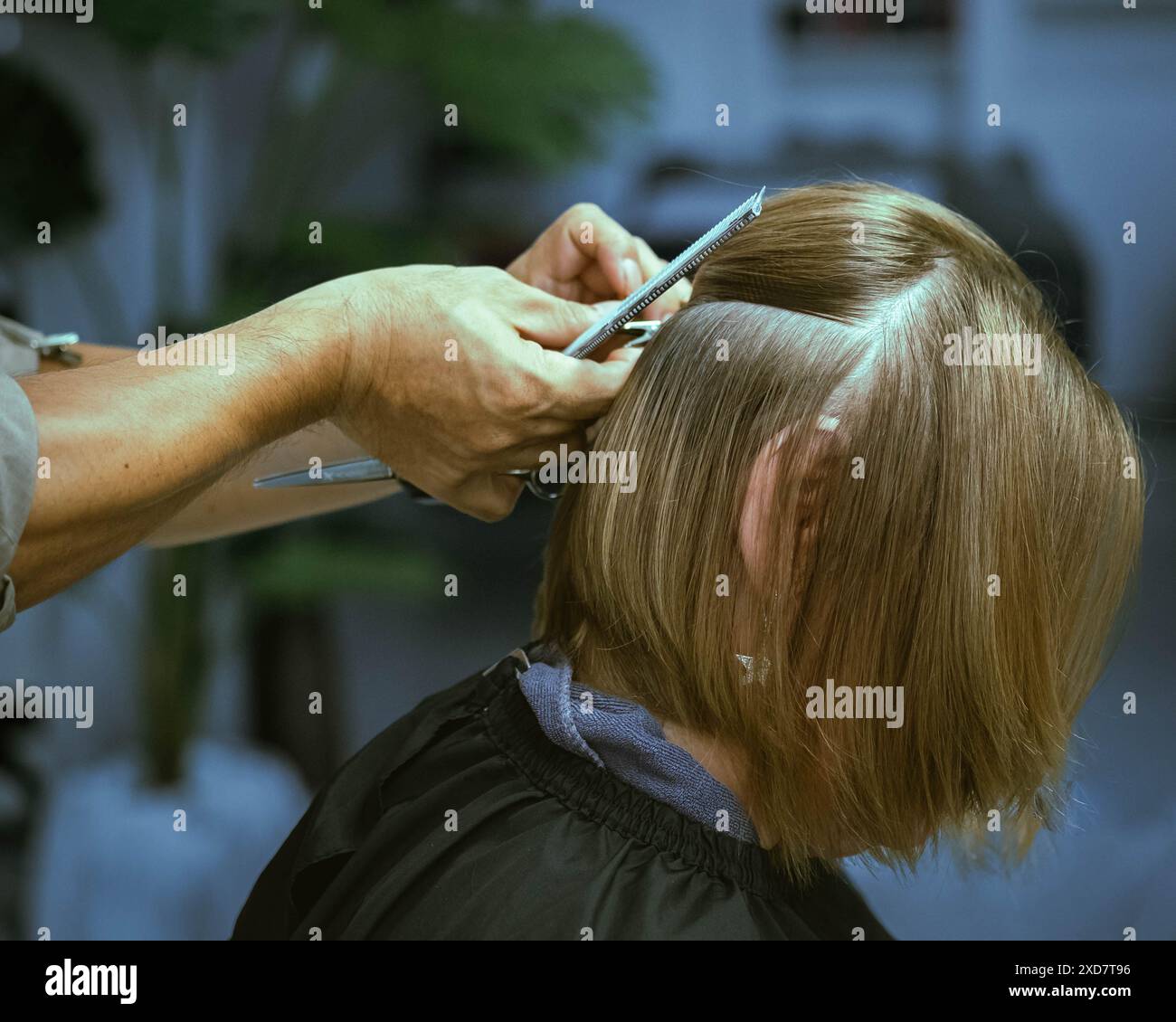 Le mani del parrucchiere tagliano i capelli. Parrucchiere che taglia i capelli della donna. Donna con taglio a filo. Salone di parrucchiere. Primo piano del taglio dei capelli femminile. Barbiere professionista Foto Stock