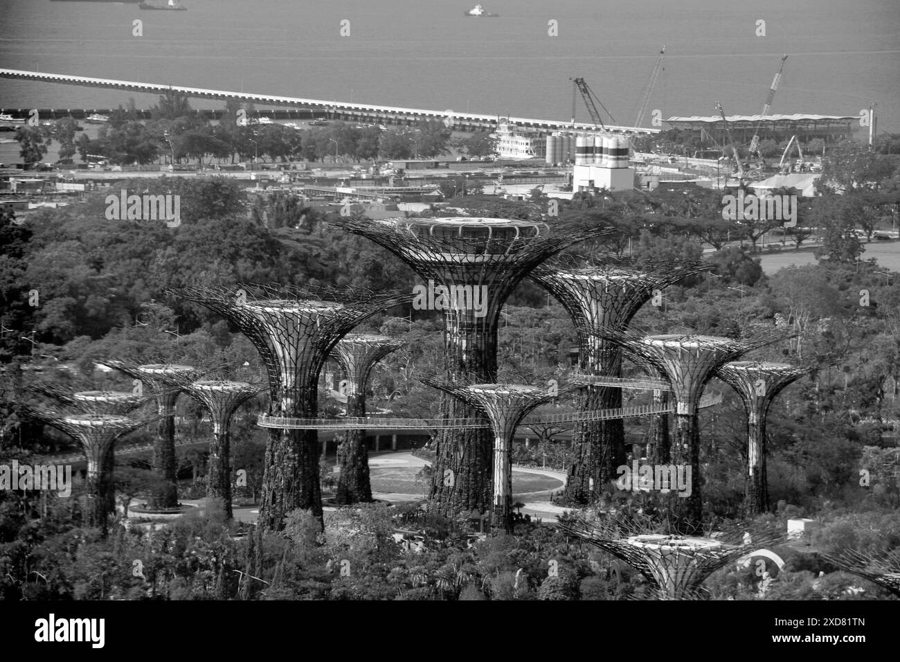 Viste dal Singapore Flyer, una ruota panoramica nel quartiere centrale di Singapore, Singapore Foto Stock