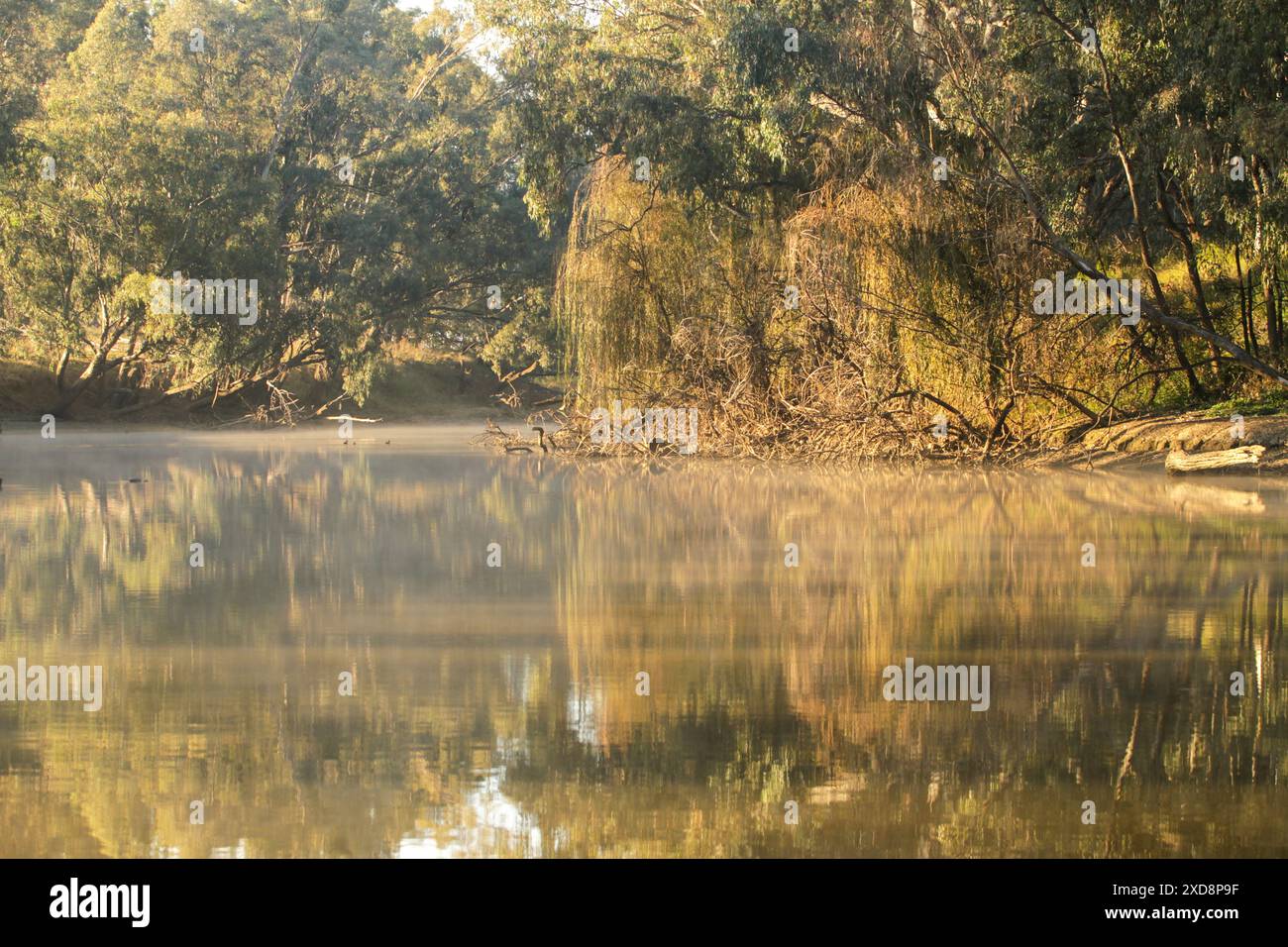 Riflessi nel fiume nella nebbia mattutina Foto Stock