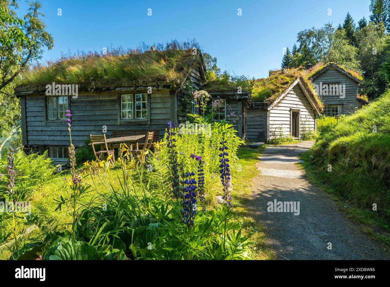 Cottage in legno con tetto in erba, Astruptunet, Norvegia Foto Stock