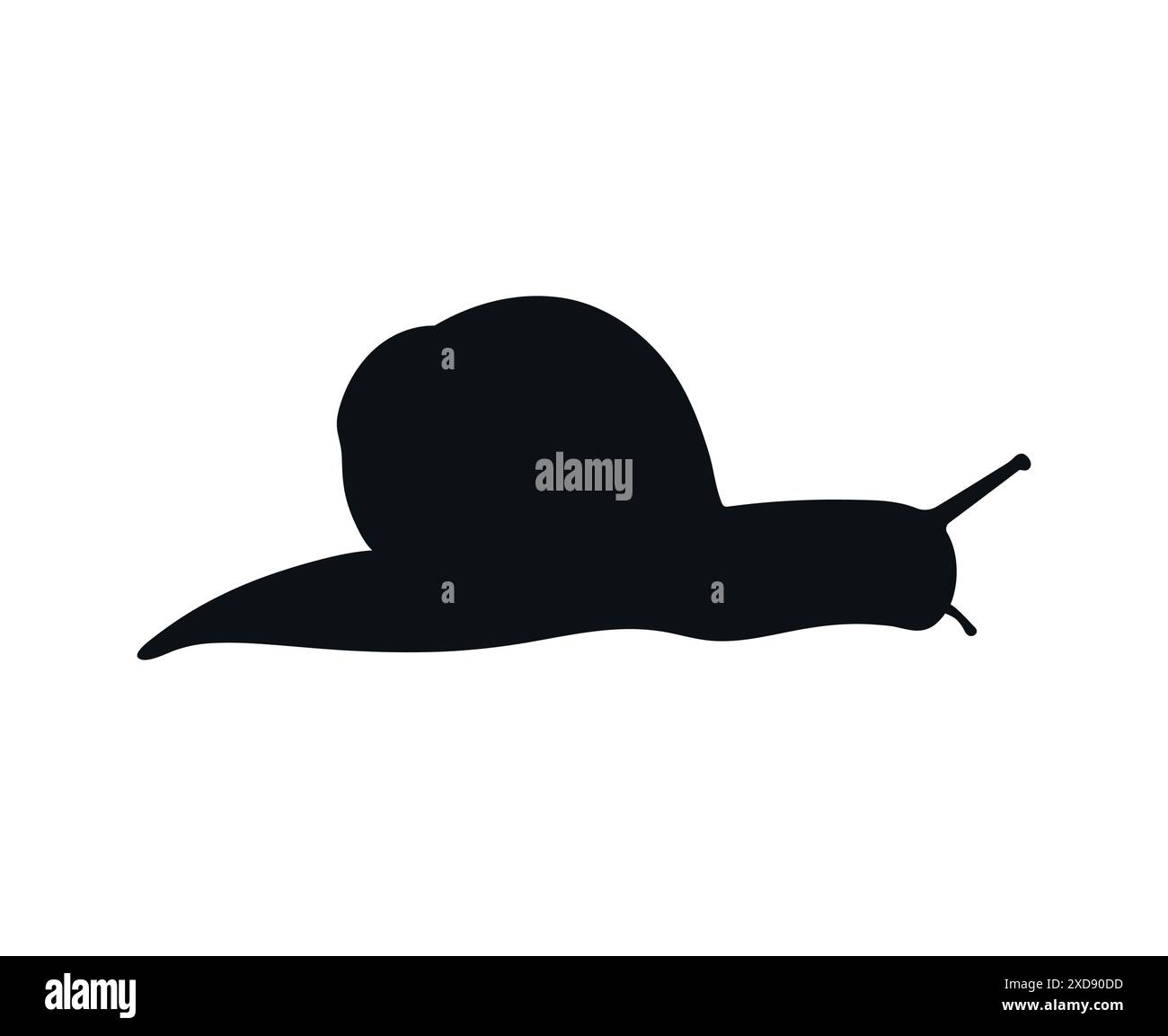 Silhouette a lumaca isolata su sfondo bianco. Ombra lumaca. Illustrazione vettoriale Illustrazione Vettoriale