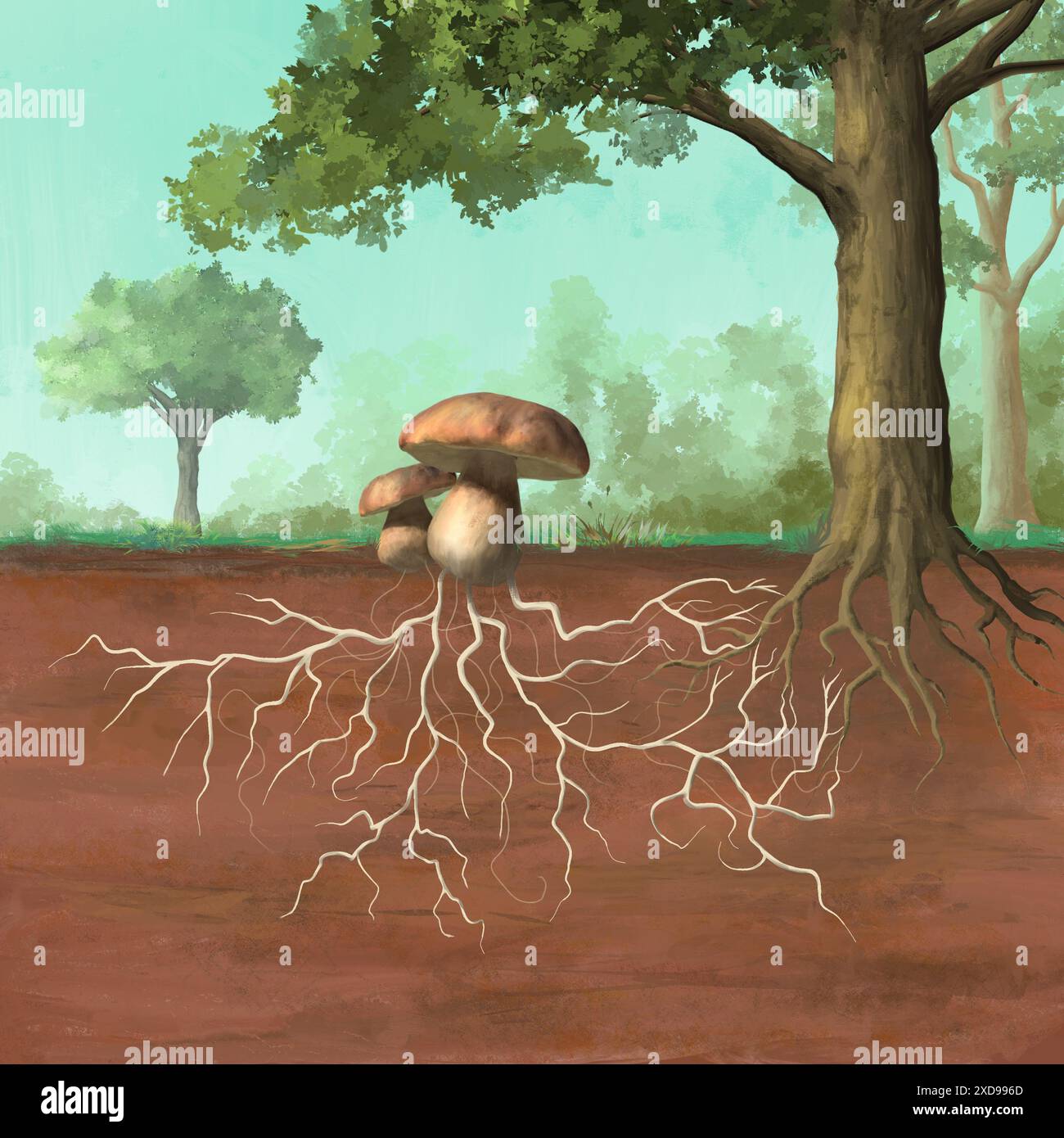 Simbiosi micorrizale tra funghi e piante verdi. Illustrazione digitale. Foto Stock