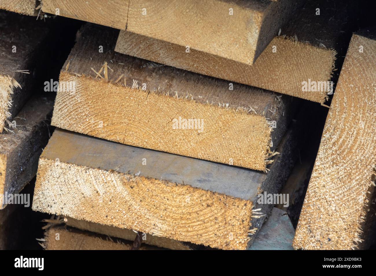 Pannelli di legno grezzo impilati primo piano, legno come materiale da costruzione Foto Stock