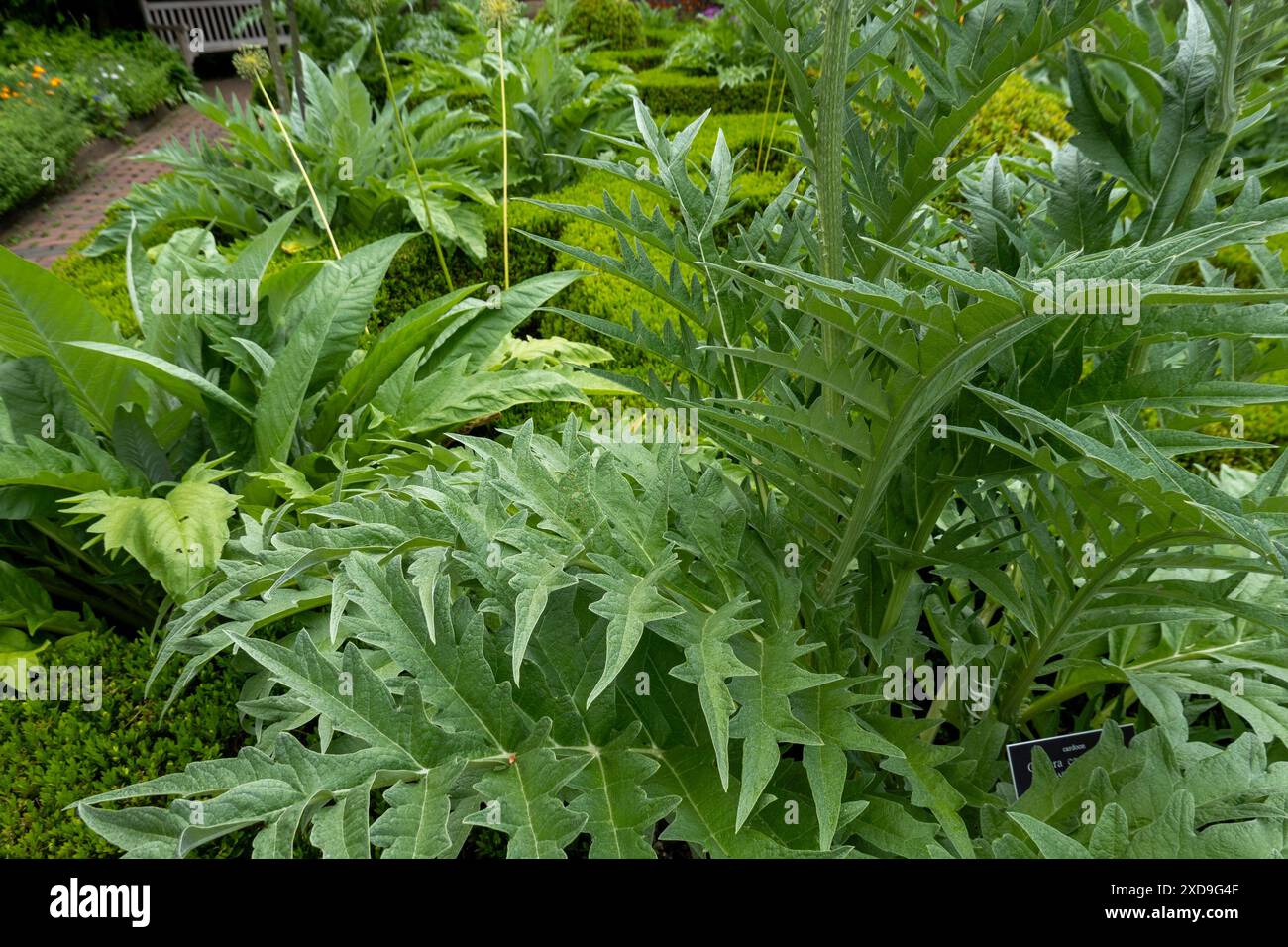 Il New York Botanical Garden, situato nel Bronx, è un museo vivente, un'istituzione educativa e un'attrazione culturale iconica, Stati Uniti 2024 Foto Stock