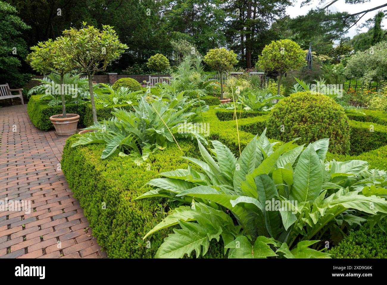 Il New York Botanical Garden, situato nel Bronx, è un museo vivente, un'istituzione educativa e un'attrazione culturale iconica, Stati Uniti 2024 Foto Stock